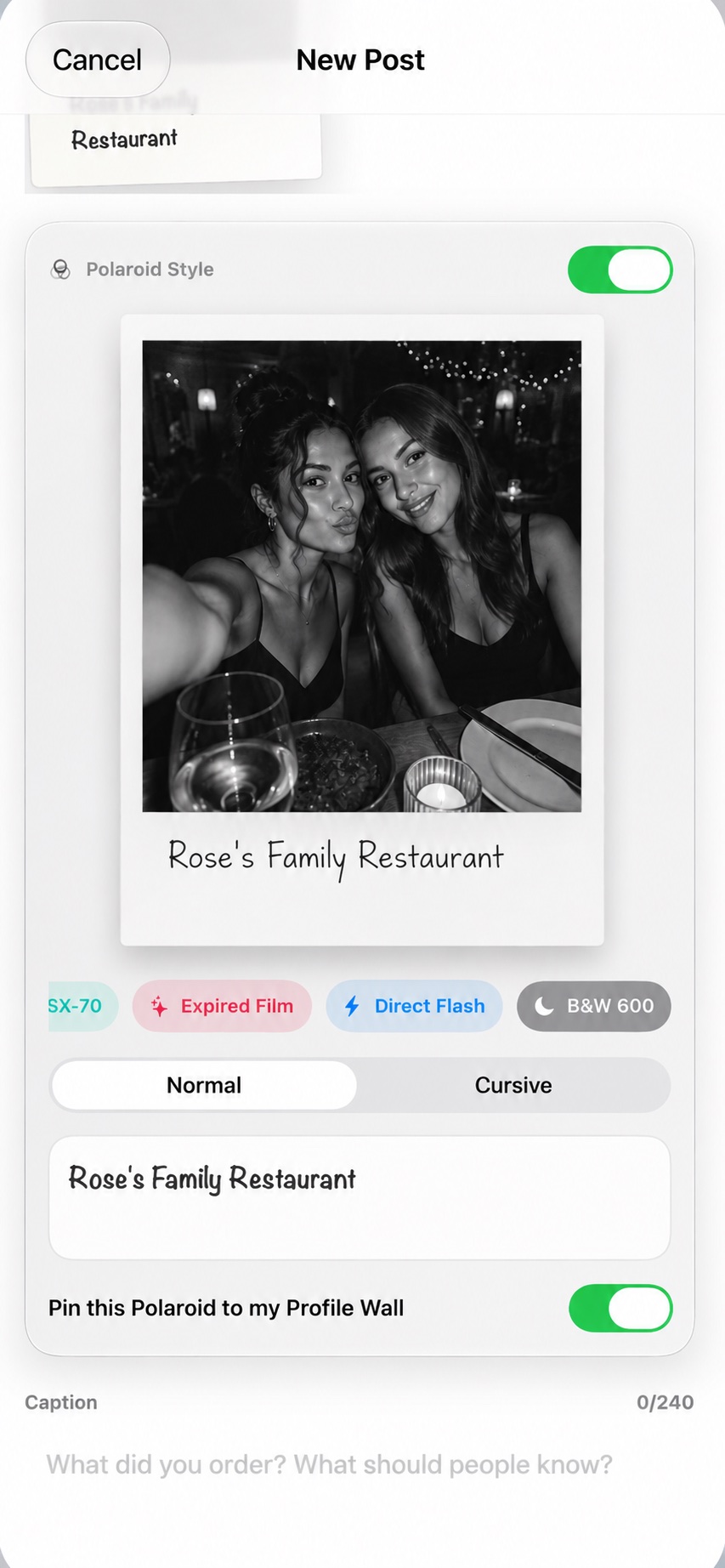 Pulse Snap editor with Polaroid style, filters, fonts and profile pinning